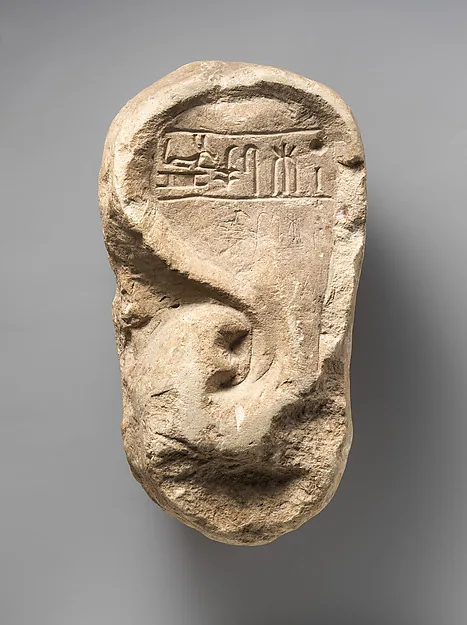 Model Ear of Ramessumerysutekh