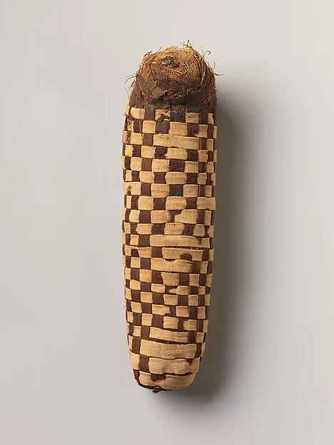Sacred animal mummy of a canid