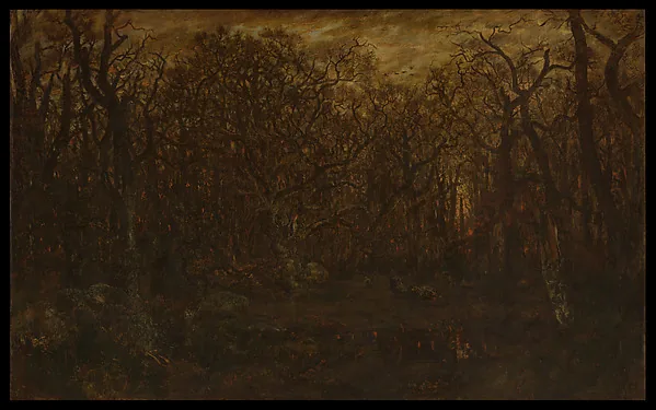 The Forest in Winter at Sunset
