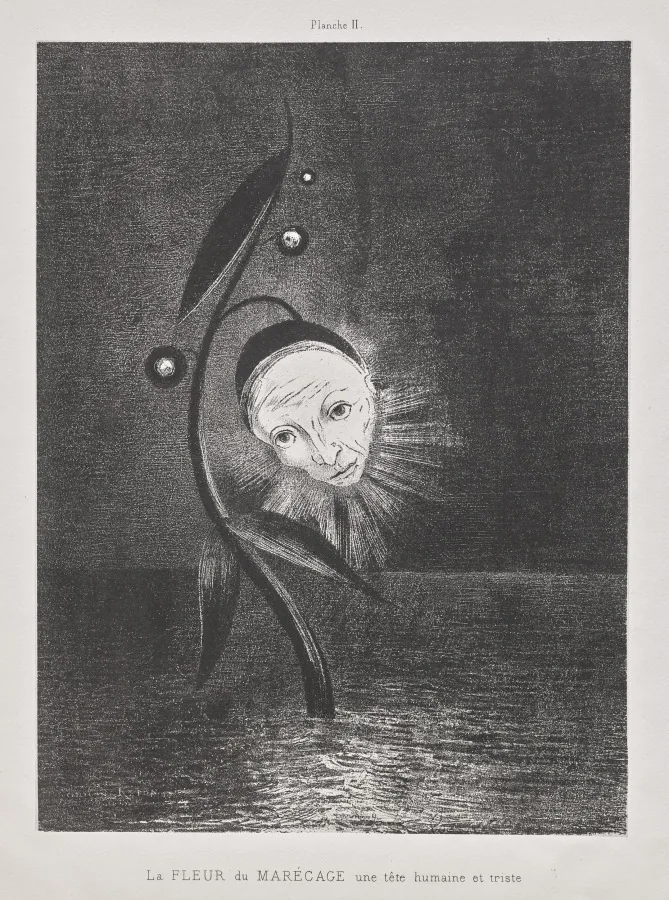 The Marsh Flower, a Sad Human Head