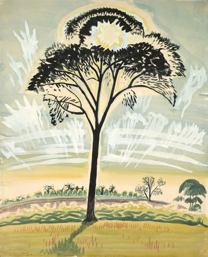 The Sun Through the Trees