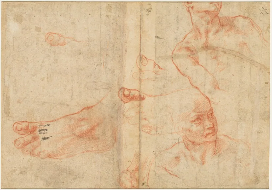 Figure Studies for the Sistine Ceiling (verso)