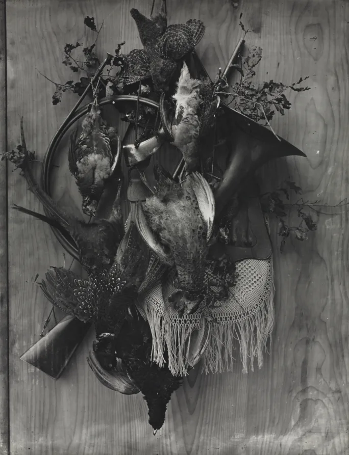 Trophy of the Hunt