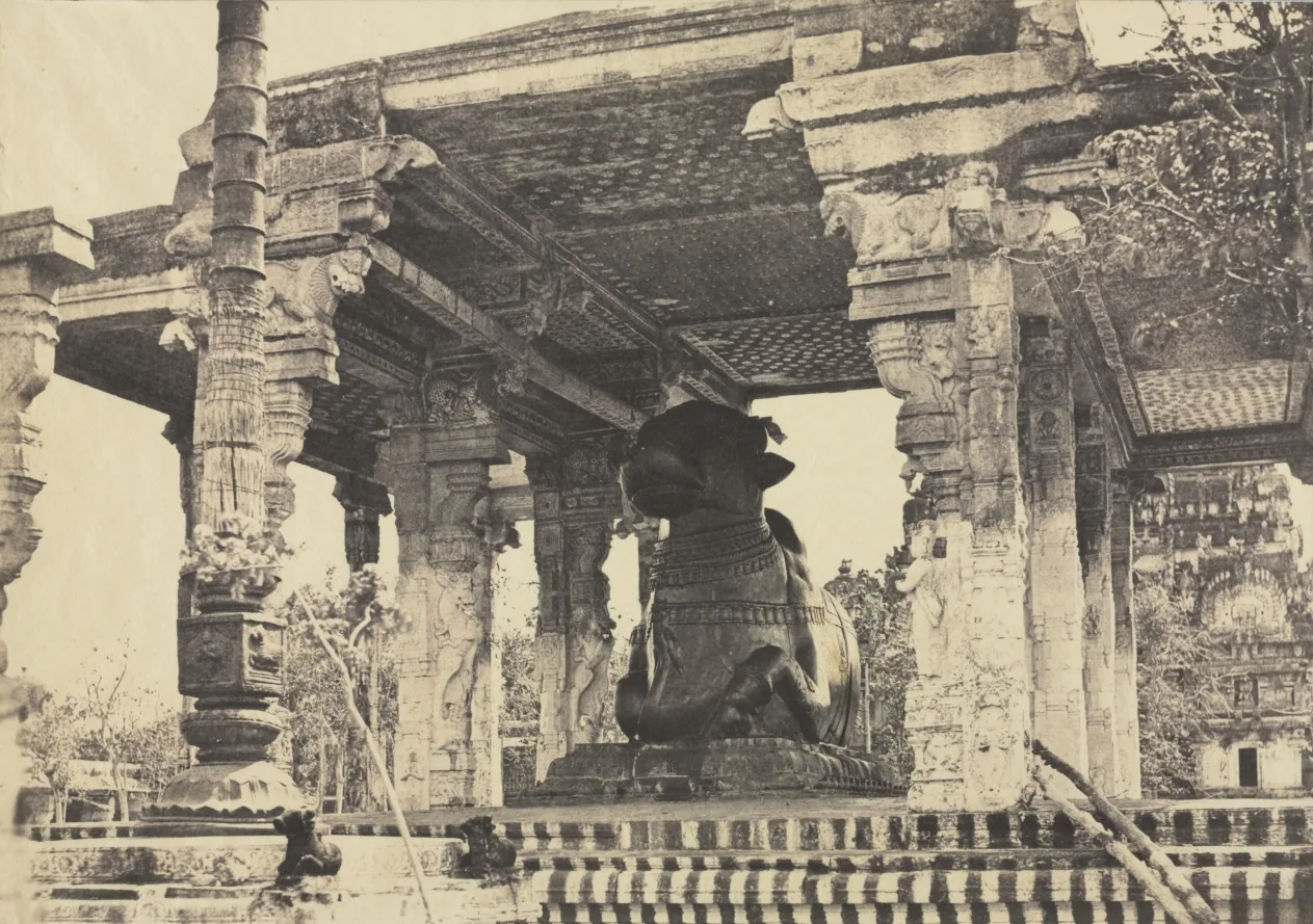 Great Pagoda, Great Bull, Front View, Tanjore, India (Rajarajeshvara Temple), plate 12 from Photographic Views of Tanjore and Trivady (Madras: Madras Presidency)