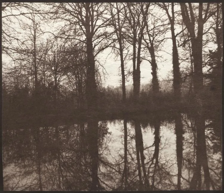 Winter Trees Reflected in a Pond