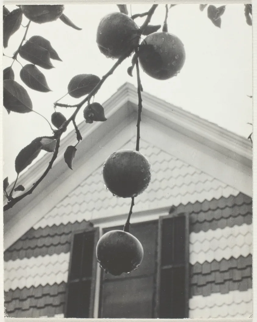 Gable and Apples