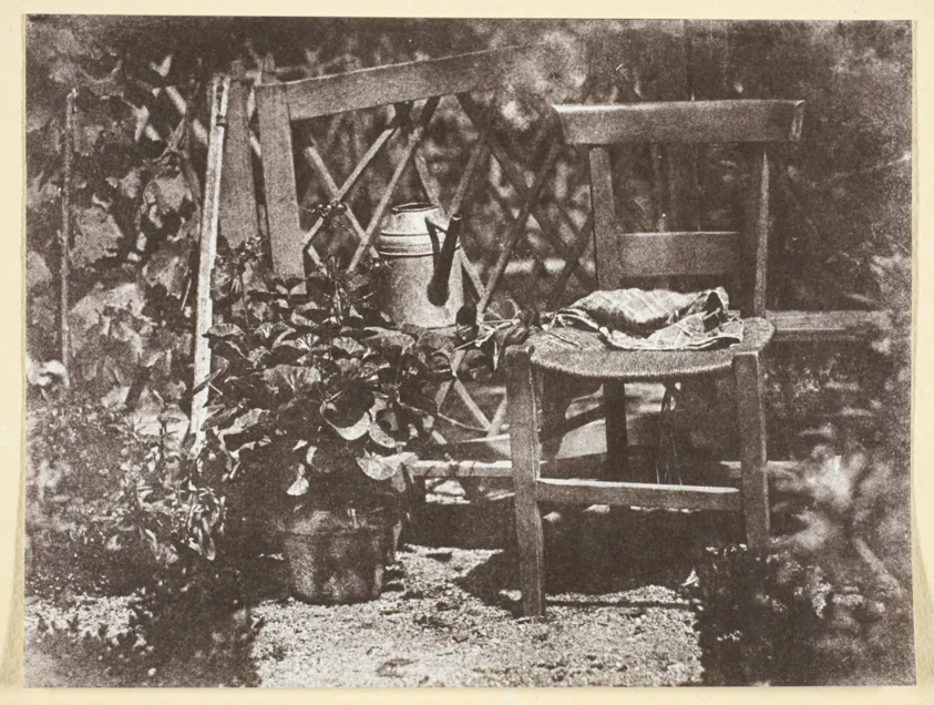 Chaise dans un Jardin