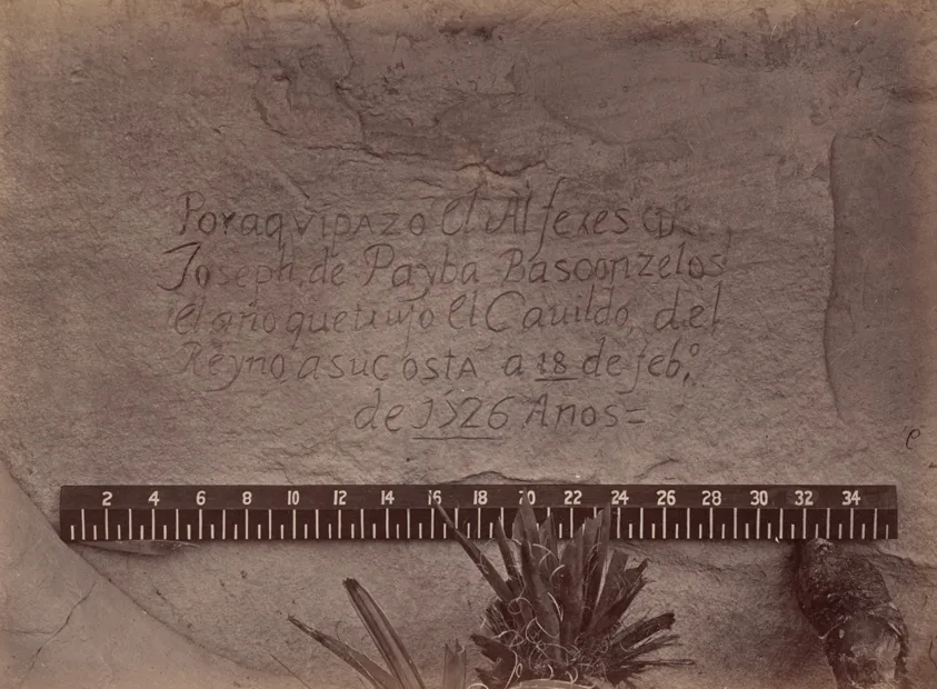 Geographical & Geological Explorations & Surveys West of the 100th Meridian