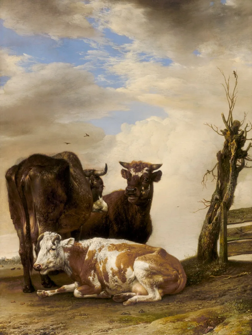 Two Cows and a Young Bull beside a Fence in a Meadow