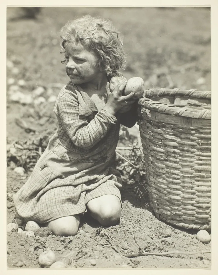 Child Labor on the Farm