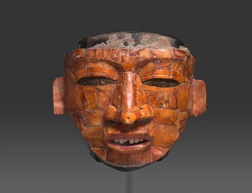 Face