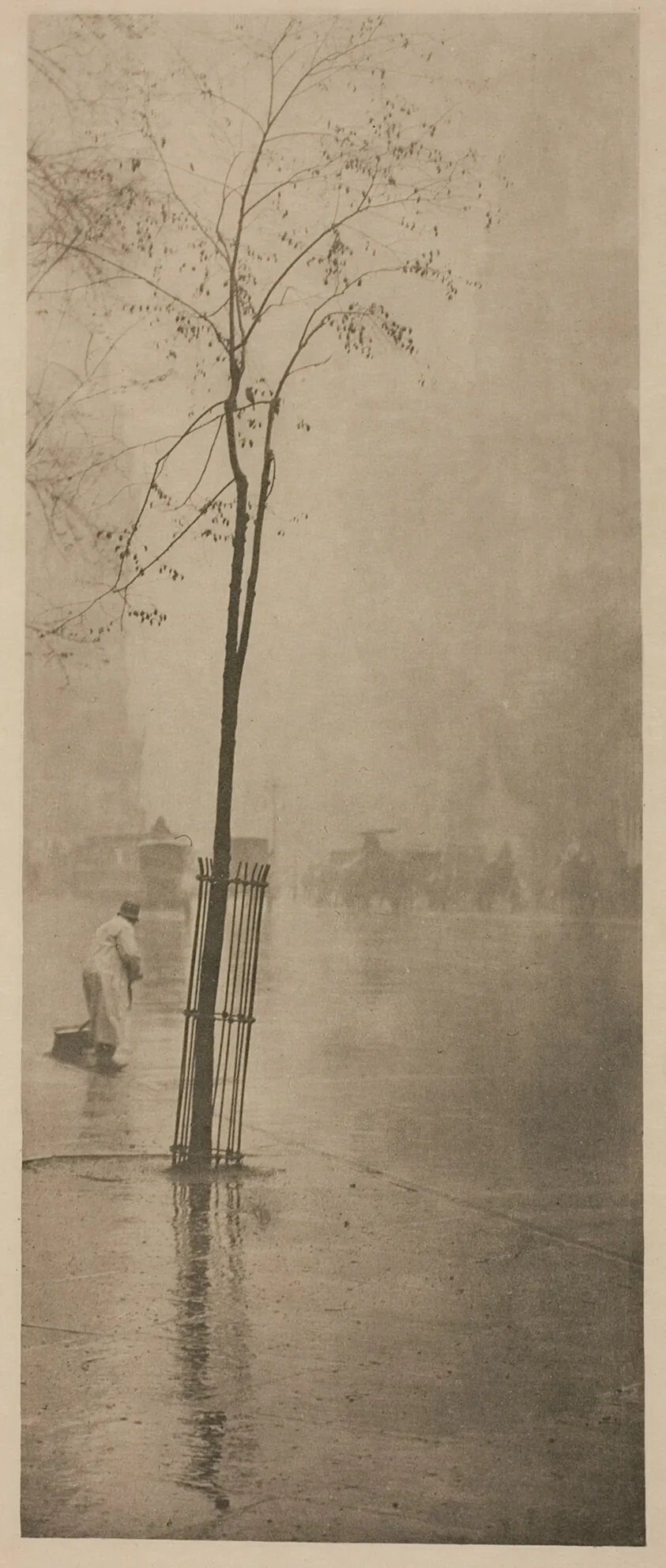 Spring Showers