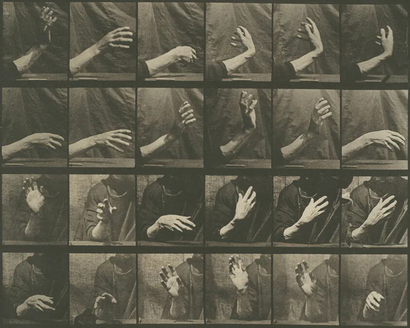 Animal Locomotion, Plate 535