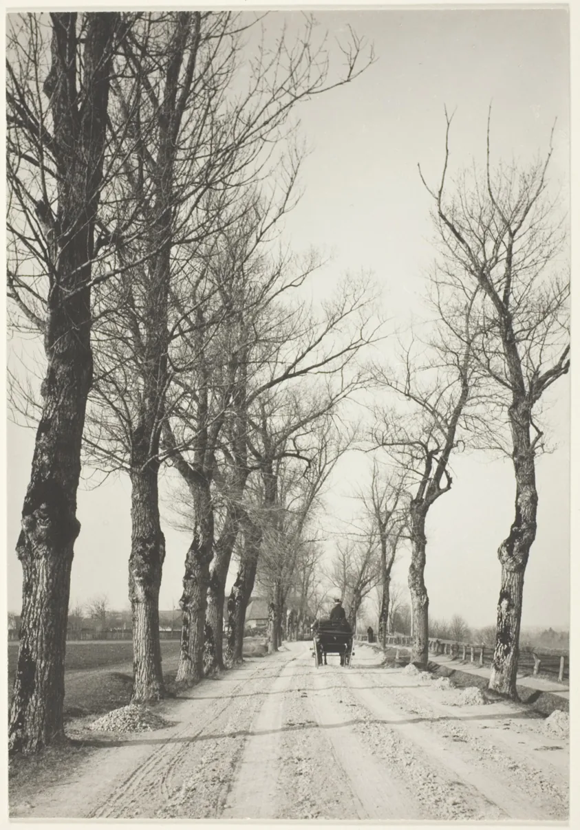 November Days