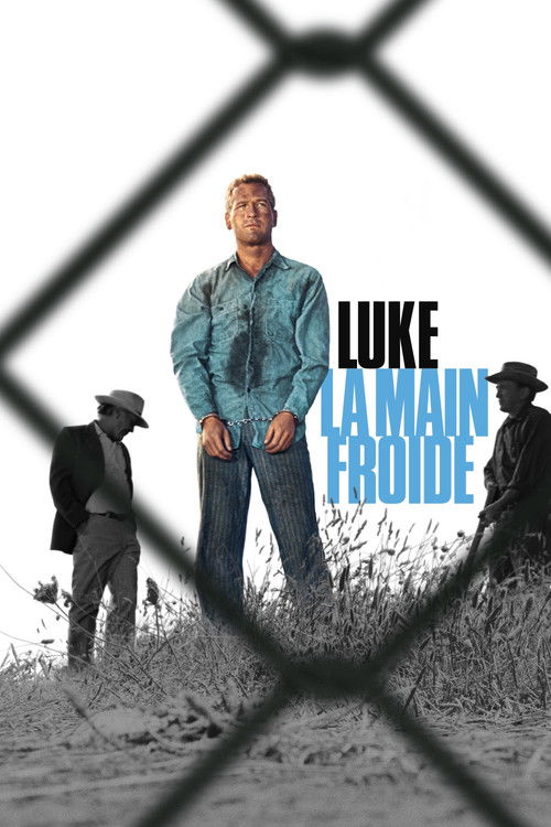 Luke la main froide